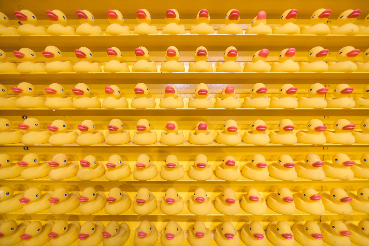 Dozens of rubber duckies lined up on stacked shelves